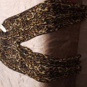 eric  Signature dressy pant